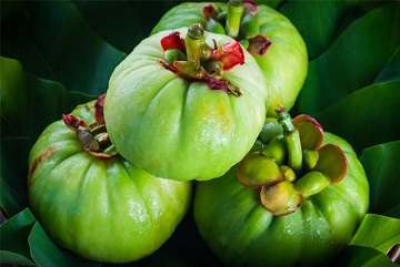 The Benefits of Garcinia Cambogia